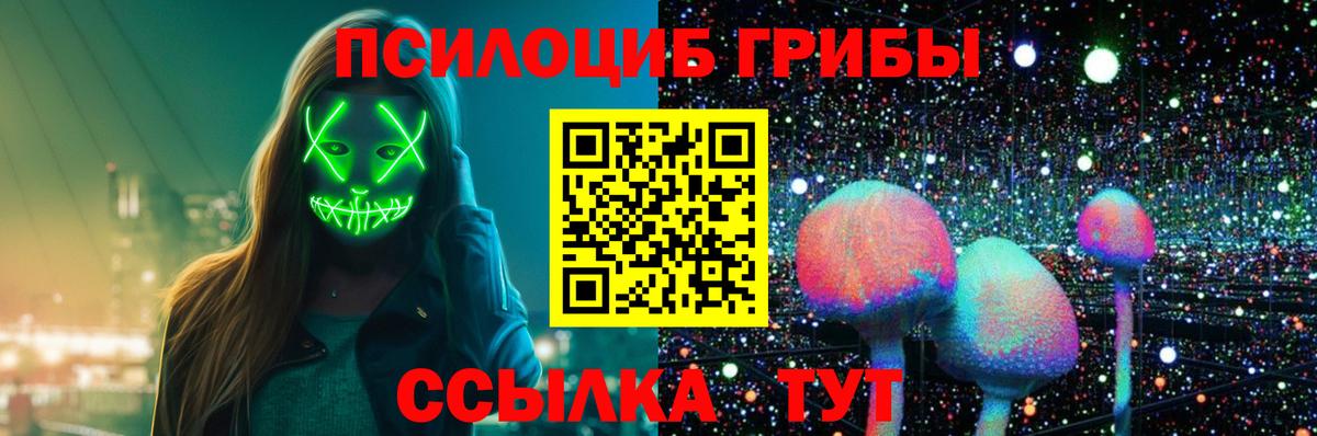 Ишим  Псилоцибиновые грибы мухоморы  купить наркоту  Псилоцибиновые грибы GOLDEN TEACHER  Вход с VPN 